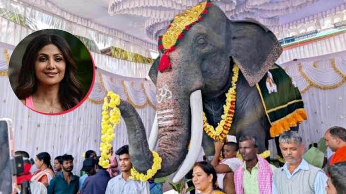 Shilpa Shetty donates mechanical elephant