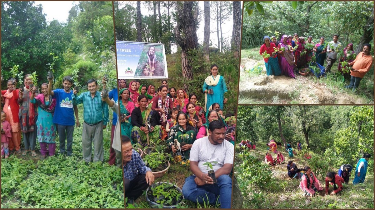 International Mountain Day: Afforestation initiatives repair the Himalayan ecosystem