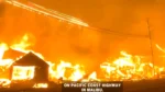 California Wildfire: Over 1,100 Buildings Destroyed, 5 Dead, Thousands Evacuated California Wildfire