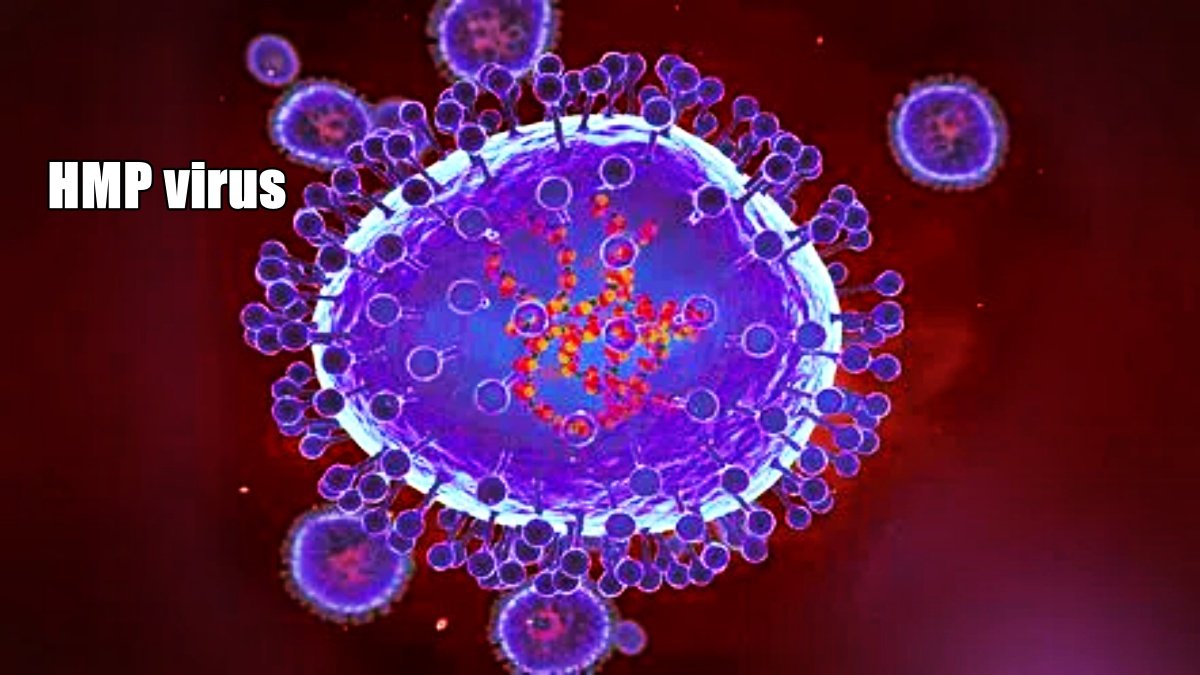 HMPV Cases Decline in Northern China: Experts Dismiss Pandemic Fears