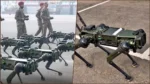 Army Day 2025: Indian Army to Showcase Robotic Mules for Extreme Operations Robotic Mules