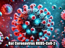 New Bat Coronavirus HKU5-CoV-2