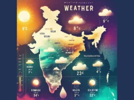 Weather Update: Monsoon Active Again, Heavy Rains to Lash North and South India Weather India