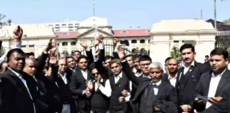 Allahabad High Court lawyers
