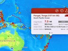 Earthquake Strikes Tonga Islands