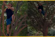 salman fitness