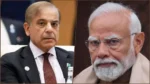 shehbaz-modi