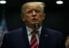 trump blames biden