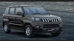 2025 Bolero