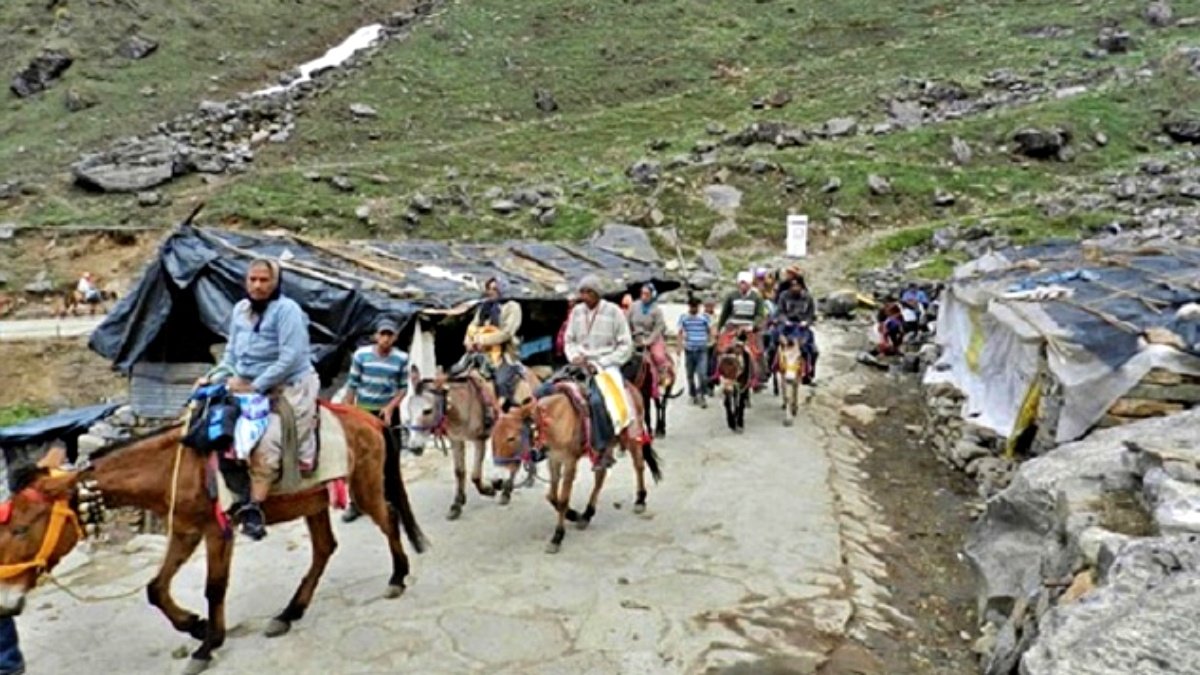 24-Hour Ban on Horses and Mules After 14 Mysterious Deaths on Kedarnath Route