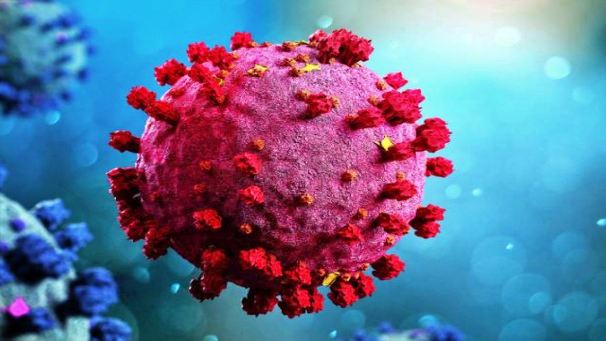 Ahmedabad Sees Rise in COVID-19 JN.1 Variant, All Patients Recovering at Home