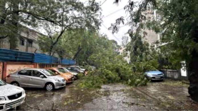 Delhi rains Delhi rains
