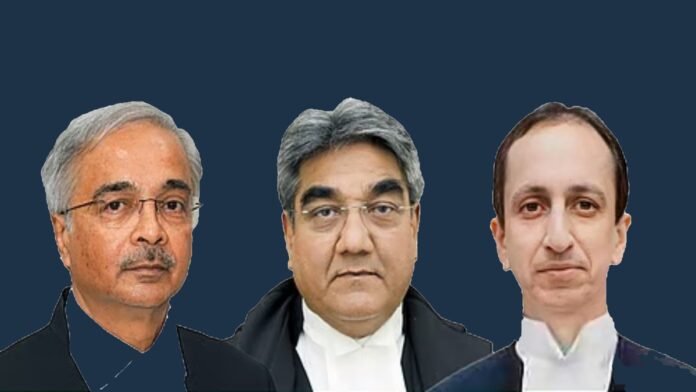 Justice N V Anjaria- Justice Vijay Bishnoi Justice N V Anjaria- Justice Vijay Bishnoi