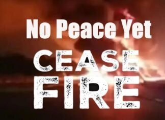 No Peace Yet
