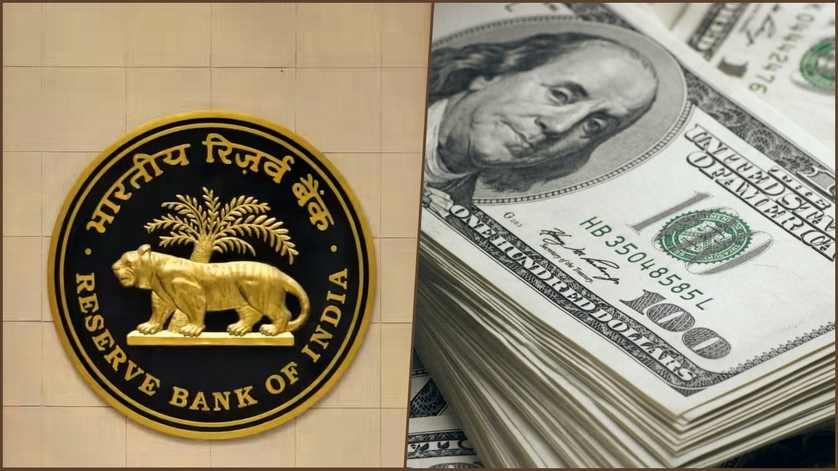 RBI Boosts Liquidity with Record $14.4 Billion Net Dollar Purchase