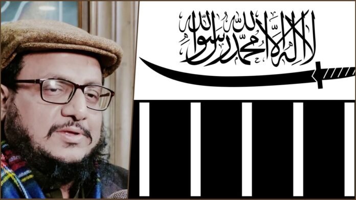 Talha Saeed Talha Saeed