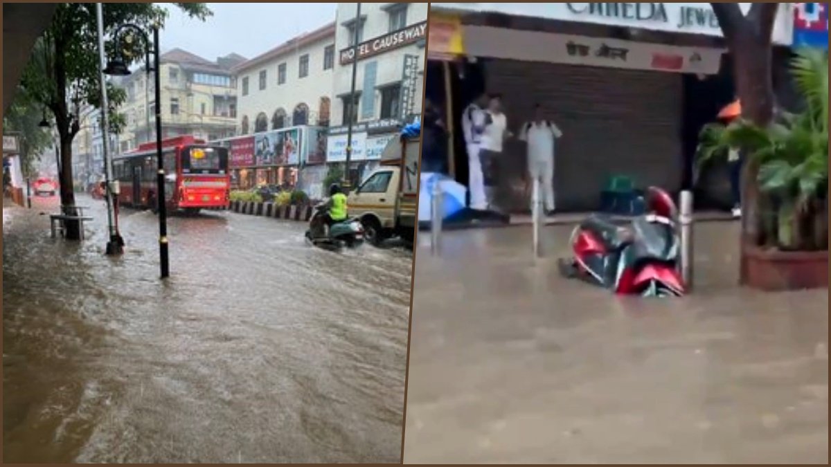 Maharashtra Early Monsoon, Claims 34 Lives and Ravages Crops Across State