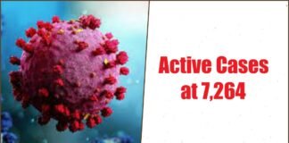 Active Cases at 7264