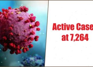 Active Cases at 7264