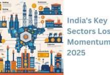 Indian Economy 2025