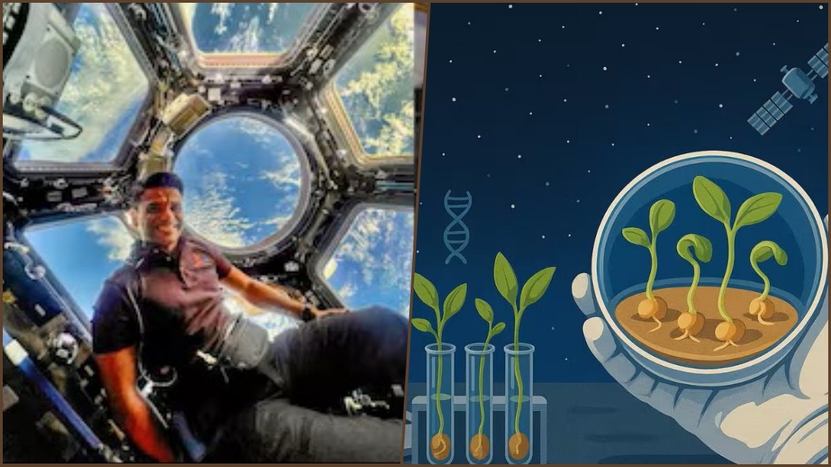 Indian Astronaut Germinates Moong and Fenugreek in Space: A New Era for Space Farming
