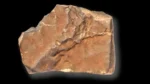 NWA 16788