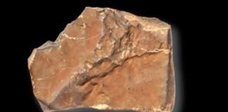NWA 16788