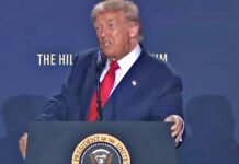 US AI Executive Orders