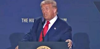 US AI Executive Orders
