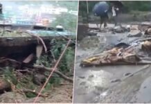 Chamoli’s Tharali Devastated