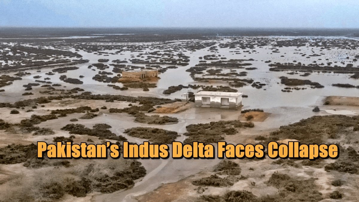 Pakistan’s Indus Delta Faces Collapse: 1.2 Million Displaced, Villages Swallowed by the Sea