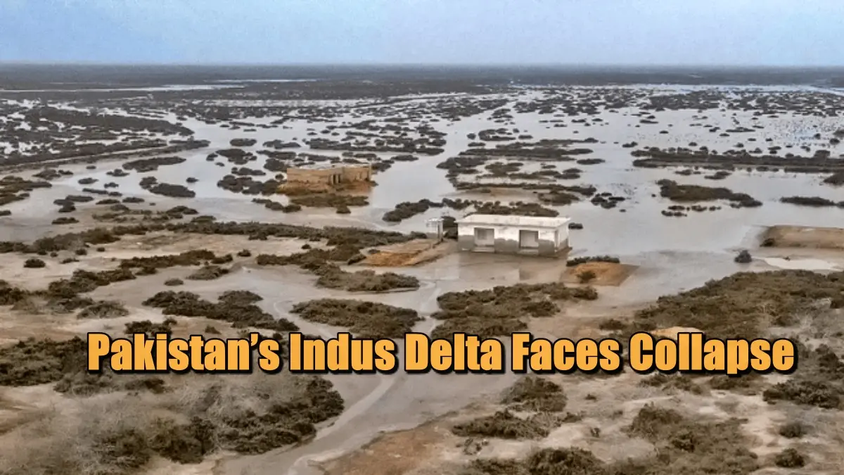 Pakistan’s Indus Delta Faces Collapse: 1.2 Million Displaced, Villages Swallowed by the Sea