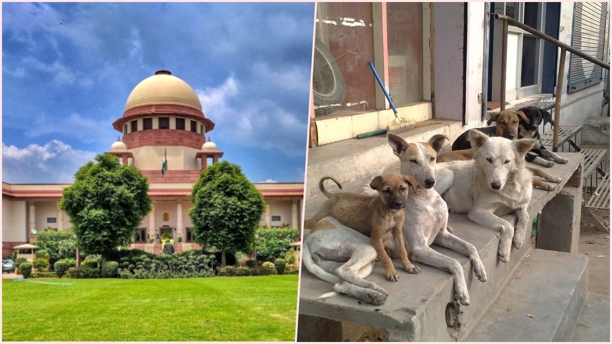SC’s Pan-India Order on Stray Dogs: Release After Sterilization/ARV, No Public Feeding