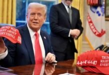 trump was right about everything