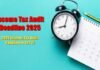 Income Tax Audit Deadline 2025