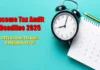 Income Tax Audit Deadline 2025