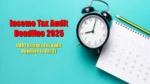 Income Tax Audit Deadline 2025