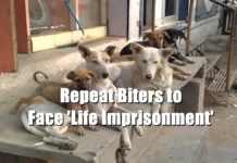 UP’s ‘Two-Strikes’ Dog Law: Repeat Biters to Face ‘Life Imprisonment’ in Shelters Stray Dogs
