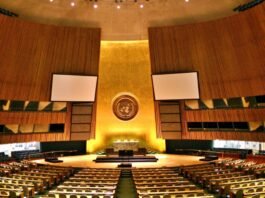 United Nations General Assembly