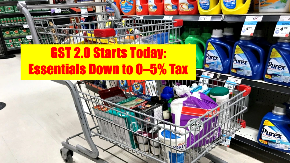 super market basket | PalPal News Hub | Latest National, Technology, and Astrology News super market basket