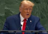 trump-United Nations
