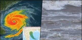 Cyclone Montha Devastates Andhra Coast: One Dead, 38,000 Hectares of Crops Destroyed Cyclone Montha Devastates Andhra Coast