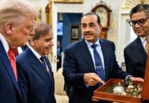 Pakistan raer earth deal