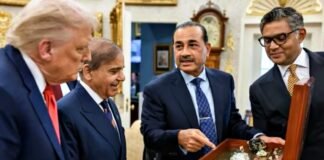 Pakistan raer earth deal