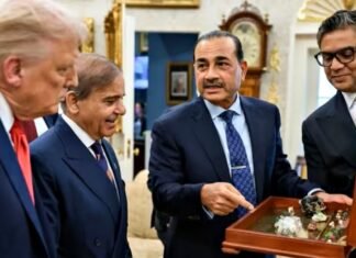 Pakistan raer earth deal