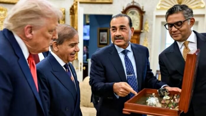 Pakistan raer earth deal