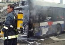 42 Indian Umrah Pilgrims Dead In Saudi Arabia Bus-Tanker Inferno