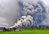 Mount Semeru Erupts in Indonesia: 170 Climbers Stranded, 900+ Evacuated Mount Semeru Erupts in Indonesia
