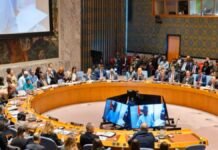 UNSC Adopts Trump’s Gaza Peace Plan: Hamas Rejects International Stabilization Force UNSC Adopts Trump's Gaza Peace Plan