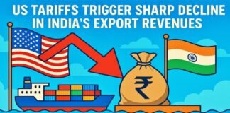 US Tariffs Trigger Sharp Decline in India's Export Revenues